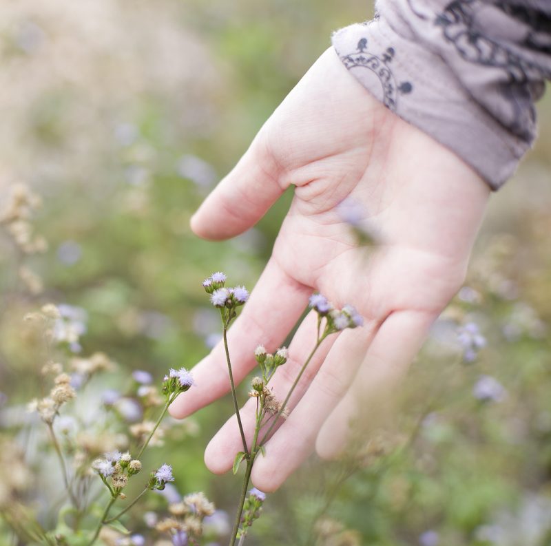 Mano de mujer en una flor