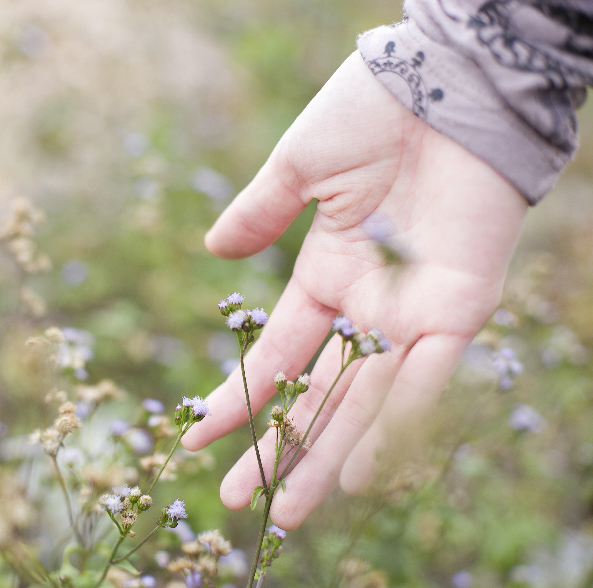 Mano de mujer en una flor