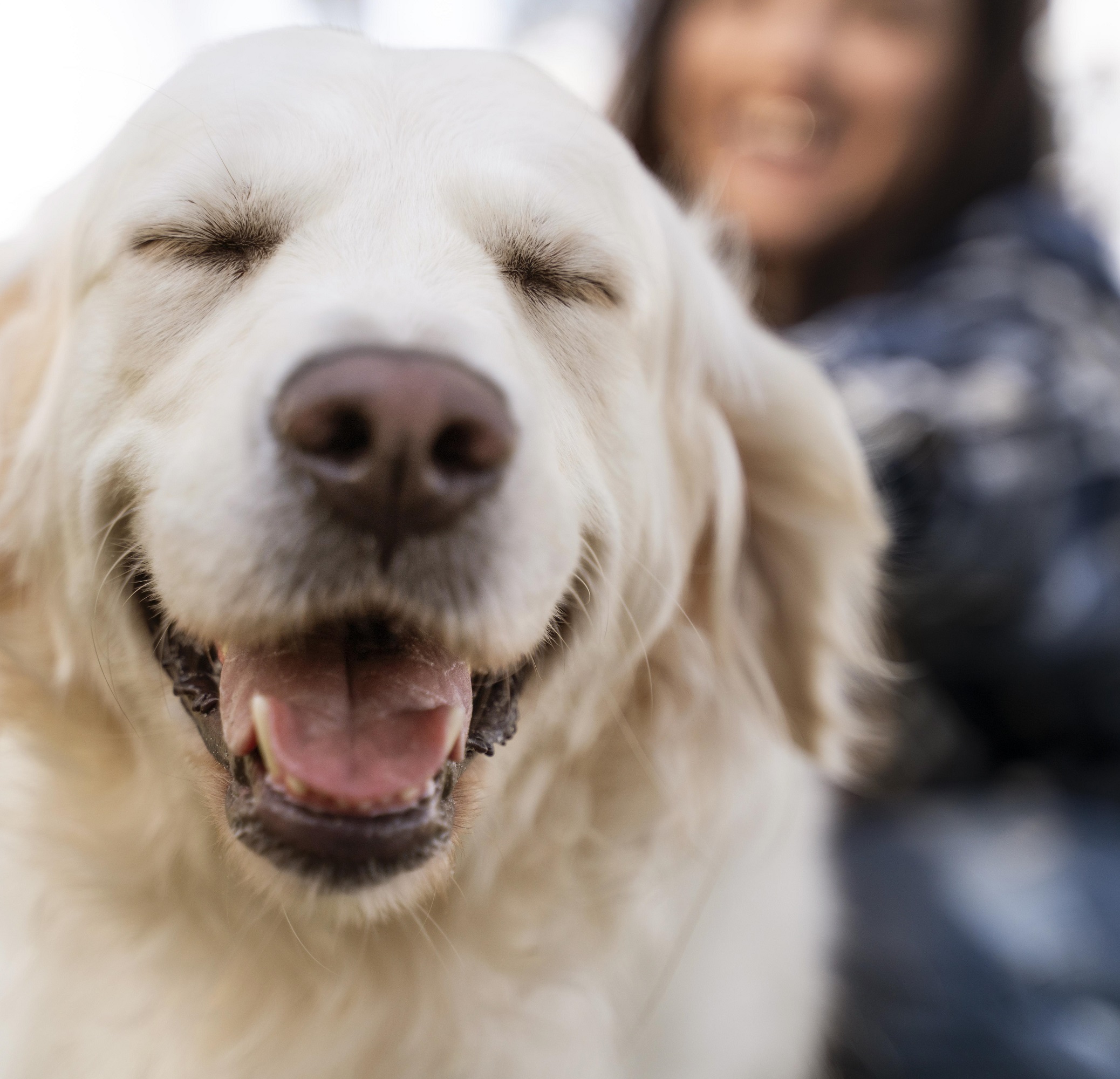 mujer con perro